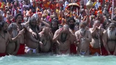 Kumbh Mela Haridwar Hindistan. Sadhus 'un ya da Akharas Azizleri' nin Ganj Nehri 'nin Kutsal Suyu' nda banyo yaptığı yavaş çekim. Appleprores 422 Cinetone
