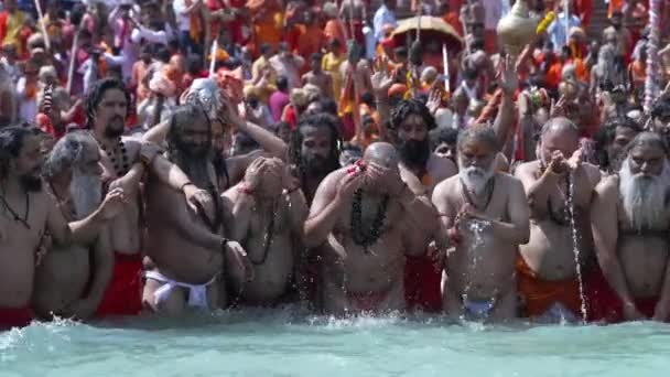 Kumbh Mela Haridwar Hindistan. Sadhus 'un ya da Akharas Azizleri' nin Ganj Nehri 'nin Kutsal Suyu' nda banyo yaptığı yavaş çekim. Appleprores 422 Cinetone — Stok video