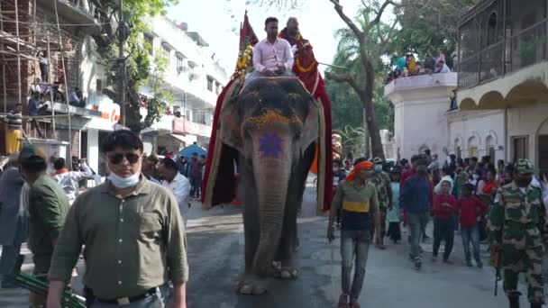 Sadhu indiano in arrivo a Kumbh Mela, benvenuto reale. Cenere coperto Sadhus seduto a cavallo, Cammello indossa ghirlanda, Slowmotion Appleprores 422 Cinetone. — Video Stock