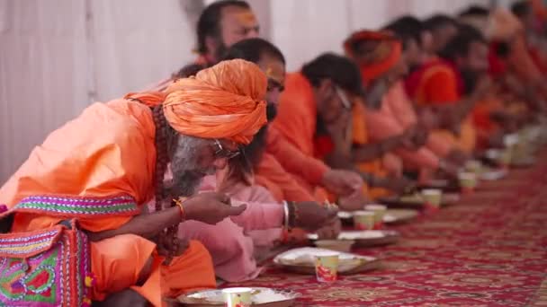 Kumbh Mela Haridwar Ινδία. Ο Sadhus ή οι Άγιοι του Akharasin Mahakumbh τρώνε μαζί. Appleprores 422 Σινετόνη 60fps. — Αρχείο Βίντεο