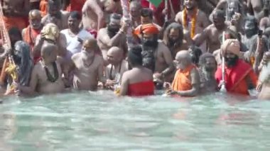 Kumbh Mela Haridwar Hindistan. Sadhus ya da Akharas Azizleri Ganj Nehri 'nin Kutsal Suyu' nda banyo yapıyor. Appleprores 422 Cinetone 60fps.