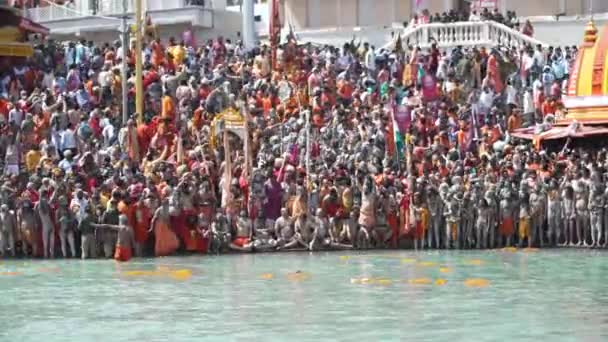 Kumbh Mela Haridwar Indien. Sadhus oder Heilige von Akharas, die den Heiligen Ganges oder den Ganga verehren. Appleprores 422 Cinetone 60fps. — Stockvideo