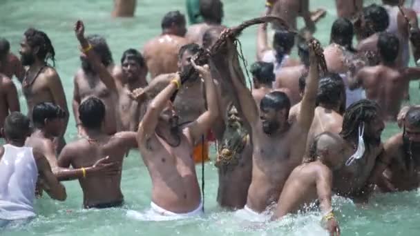 Una inmersión de espiritualidad y fe, Maha Kumbh 2021 — Vídeos de Stock