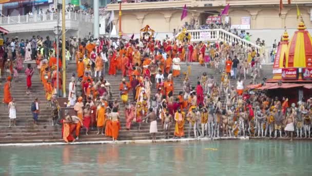 Indyjscy święci lub sadhus na największym indyjskim zgromadzeniu religijnym Kumbh Mela, Haridwar Indie, Appleprores 422, Cinetone — Wideo stockowe