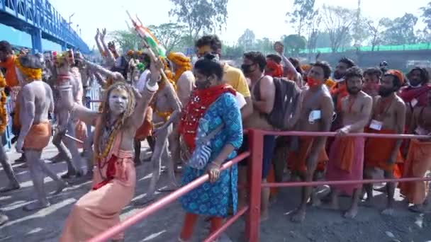 Indičtí svatí nebo sadhos na největším indickém shromáždění náboženského festivalu Kumbh Mela, Haridwar Indie, Appleprores 422, Cinetone — Stock video