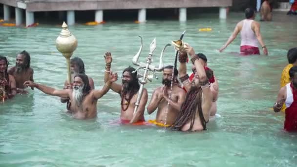 Una inmersión de espiritualidad y fe, Maha Kumbh 2021 — Vídeos de Stock