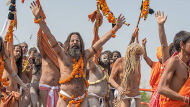 Hint azizleri veya sadhus patikaları Hindistan 'daki en büyük dini festival Kumbh Mela, Haridwar India, Appleprores 422, Cinetone