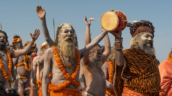 Santos indios o sadhus trail en el festival religioso más grande de la India Kumbh Mela, Haridwar India, Appleprores 422, Cinetone — Foto de Stock