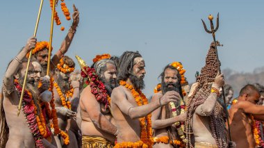 Hint azizleri veya sadhus patikaları Hindistan 'daki en büyük dini festival Kumbh Mela, Haridwar India, Appleprores 422, Cinetone