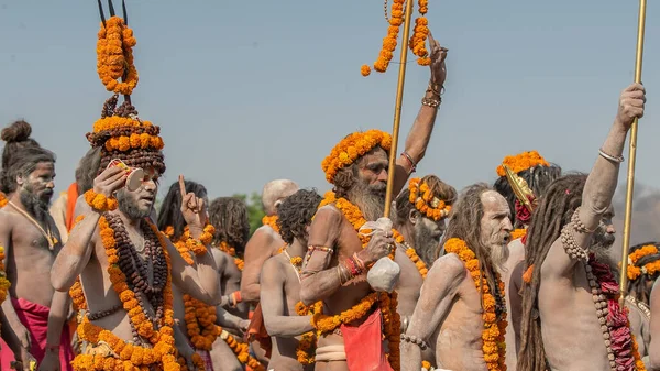 Indyjscy święci lub szlak sadhusa na największym indyjskim zgromadzeniu religijnym Kumbh Mela, Haridwar India, Appleprores 422, Cinetone — Zdjęcie stockowe