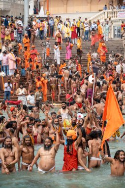 Ruhanilik ve İnanç Dalgıcı, Maha Kumbh 2021