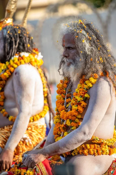 Indyjski sadhus przybywa do Kumbh Mela, królewskie powitanie. Sadhus siedzi w girlandzie — Zdjęcie stockowe