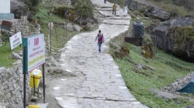 Uttarakhand 'daki Güzel Vadi Yolundaki Turist 