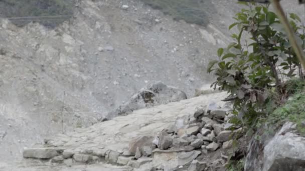 Blick auf die Himalaya-Hügel Ein schöner Blick auf die Natur — Stockvideo