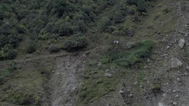 Veduta delle colline himalayane Una bella vista panoramica della natura — Video Stock