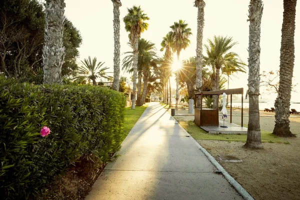 Promenad Paphos Cypern — Stockfoto