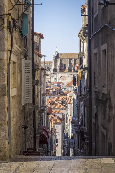 De heer Dubrovnik — Stockfoto