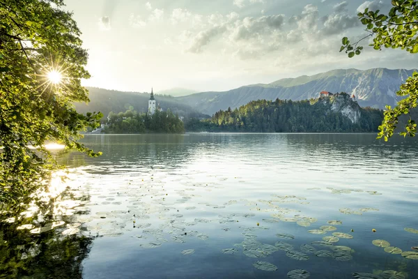 Igreja em uma ilha e castelo na rocha em Bled — Fotografia de Stock