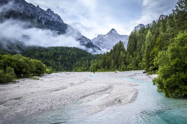 Naturaleza de Eslovenia — Foto de Stock