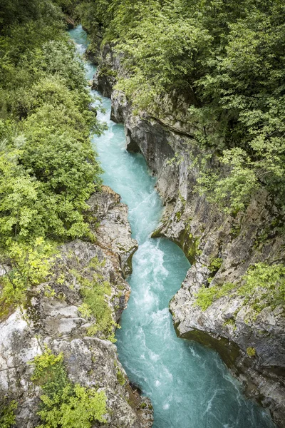 Cama de rio de Soca — Fotografia de Stock