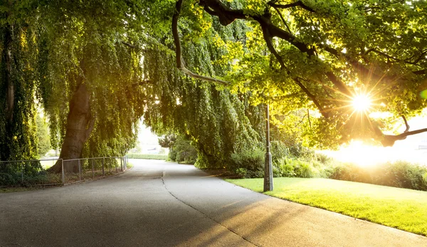 Plaats in een prachtige stadspark joggen — Stockfoto