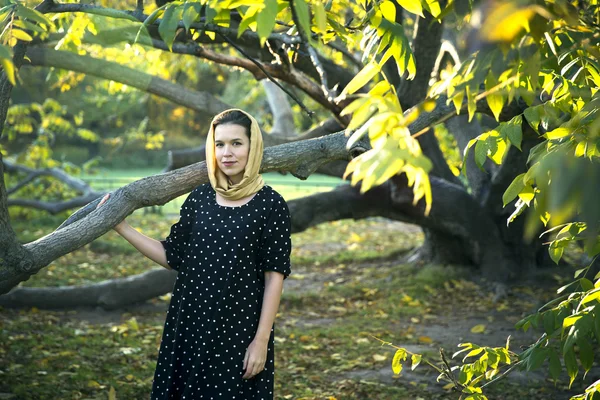 Attraente giovane donna con il velo all'albero — Foto Stock