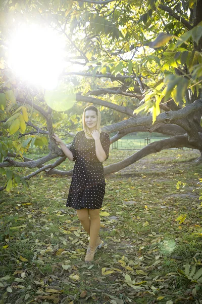 Jolie jeune femme avec foulard à l'arbre — Photo