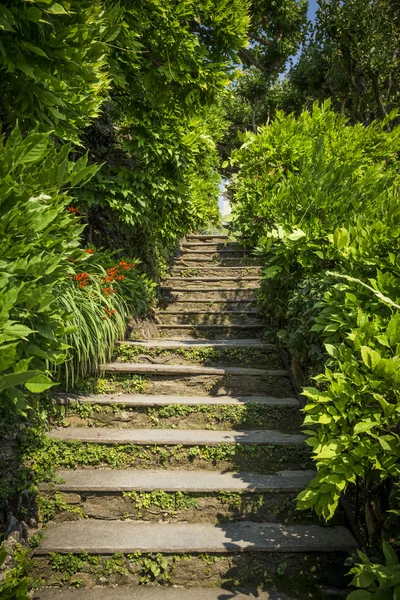 Escaliers anciens en pierre — Photo