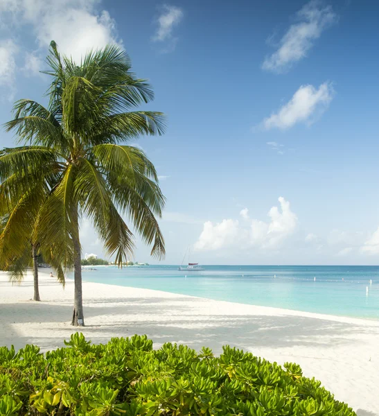 Paradise beach op een tropisch eiland — Stockfoto