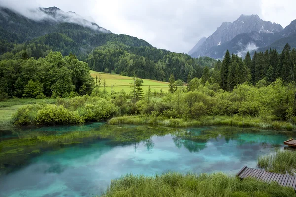 Zelenci vijver in Slovenië — Stockfoto
