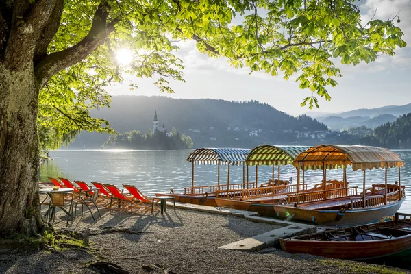 Bled lake in Slovenia — Stock Photo, Image