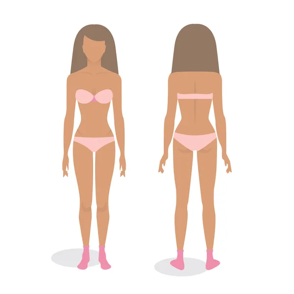 Young body of woman template,front and back — Stock Vector