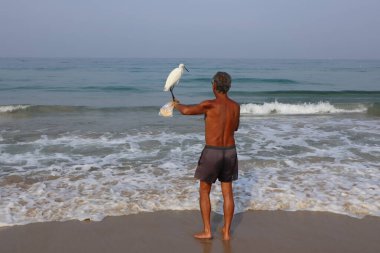 Sahilde beyaz bir balıkçıl bir adamın elinde duruyor.