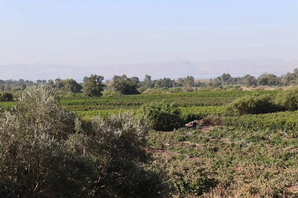 Uma Vista Junção Yehudiya Nas Colinas Golan Israel Para Paisagem — Fotografia de Stock
