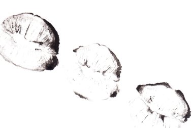 Güzel siyah dudaklar.