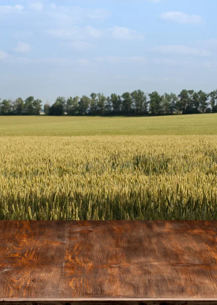 Schöner Holztisch in einer Landschaft. — Stockfoto