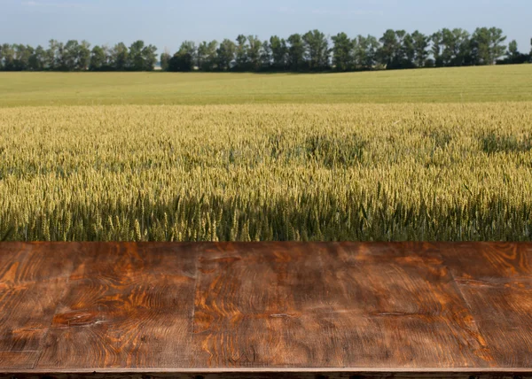 Mooie houten tafel in een landschap. — Stockfoto