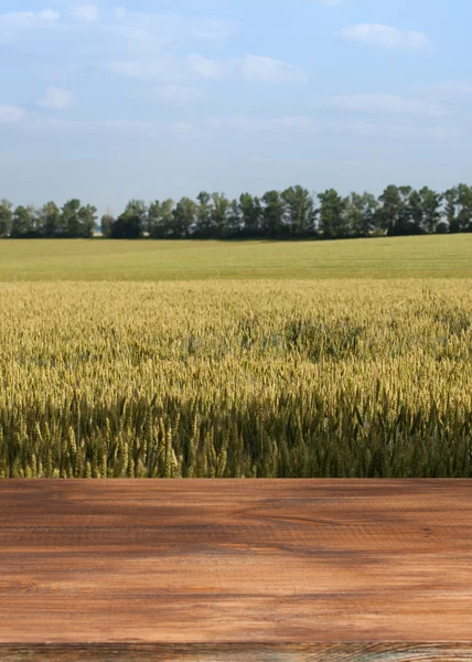 Schöner Holztisch in einer Landschaft. — Stockfoto