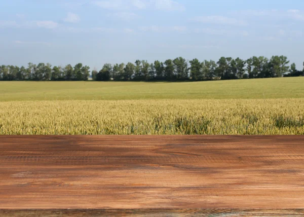 Beautiful wooden table in a landscape. — Stock Photo, Image