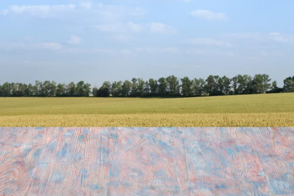 Schöner Holztisch in einer Landschaft. — Stockfoto