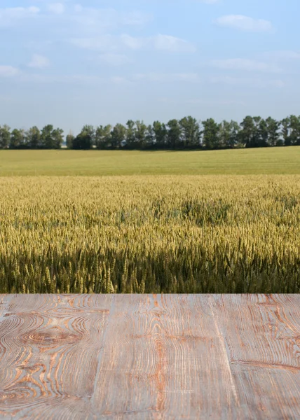 Beautiful wooden table in a landscape. — Stock Photo, Image