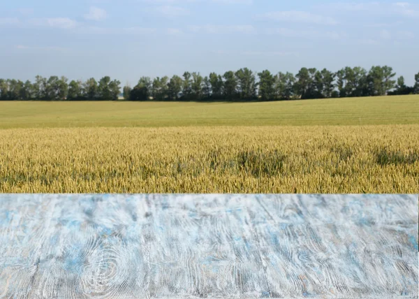 Beautiful wooden table in a landscape. — Stock Photo, Image