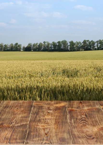 Beautiful wooden table in a landscape. — Stock Photo, Image