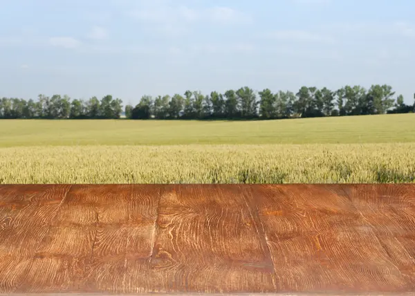 Schöner Holztisch in einer Landschaft. — Stockfoto