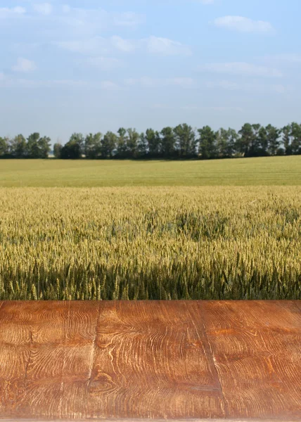 Schöner Holztisch in einer Landschaft. — Stockfoto