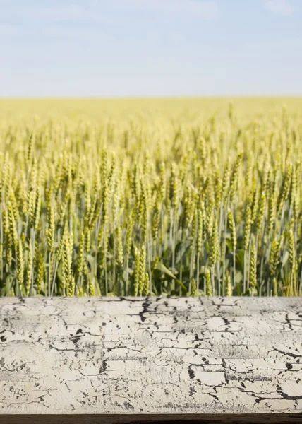 Schöner Holztisch in einer Landschaft. — Stockfoto