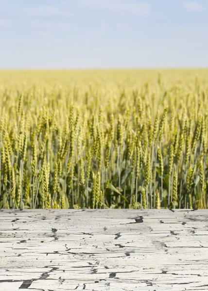 Schöner Holztisch in einer Landschaft. — Stockfoto