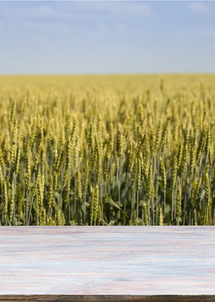 Schöner Holztisch in einer Landschaft. — Stockfoto