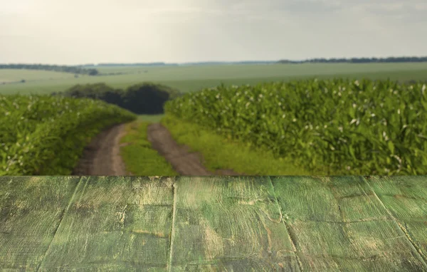 Mooie houten tafel in een landschap. — Stockfoto