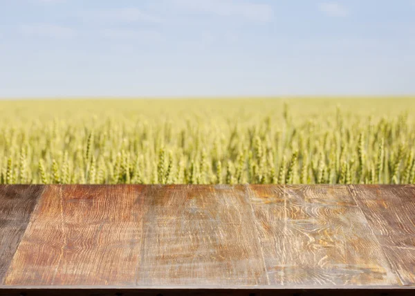 Schöner Holztisch in einer Landschaft. — Stockfoto